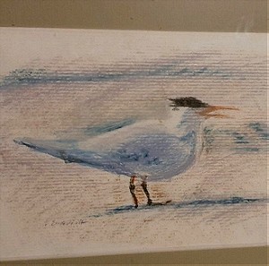 Πουλιά, sketch, 2 πίνακες ζωγραφικής