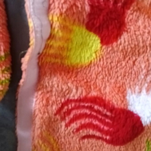 Bathrobe and hat used