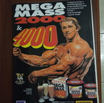 Περιοδικό Muscle & Fitness μεταχειρισμένο, τεύχος 8 Μάρτιος-Απρίλιος 1998