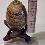 Jasper new