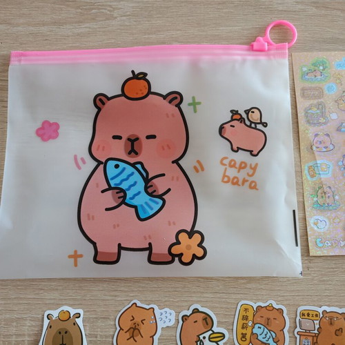 Capybara gift set new with pouch, hand towel and stickers