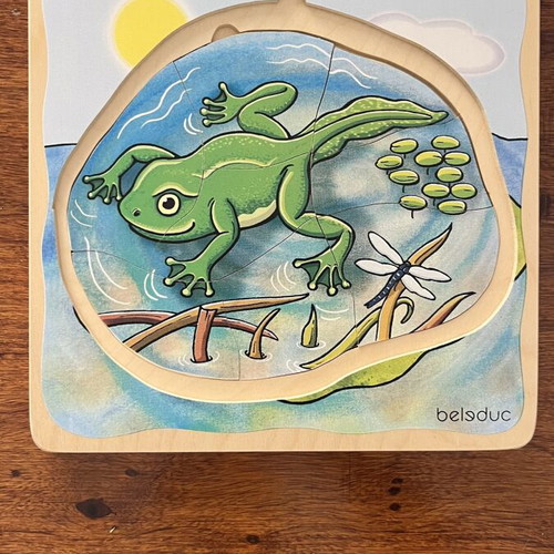 Belsduc 5-Layer Frog Wooden Educational Puzzle Montessori