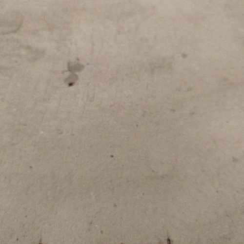 Image Jesus Blesses the Family Table used