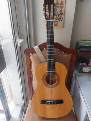 Hohner HC02 classical guitar used with case