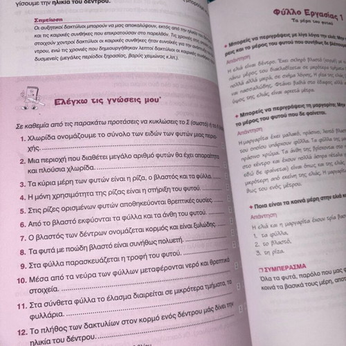 Physics Workbook Grade 6 Like New