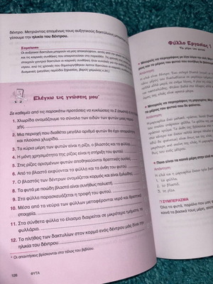 Physics Workbook Grade 6 Like New