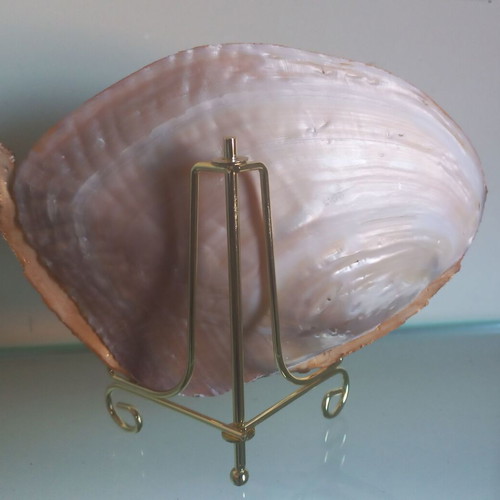 Decorative shell with decoupage techniques 16×14 cm new