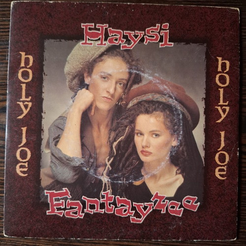 Haysi Fantayzee 45 RPM record like new