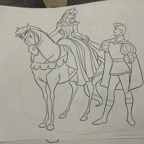 Disney princess coloring designs used