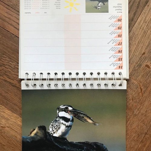Calendar 1995 used, South Africa - A world in one country retro