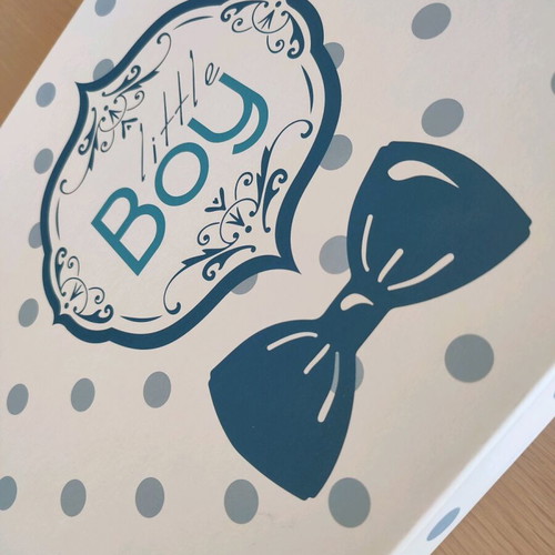 Paper storage box new with little boy theme