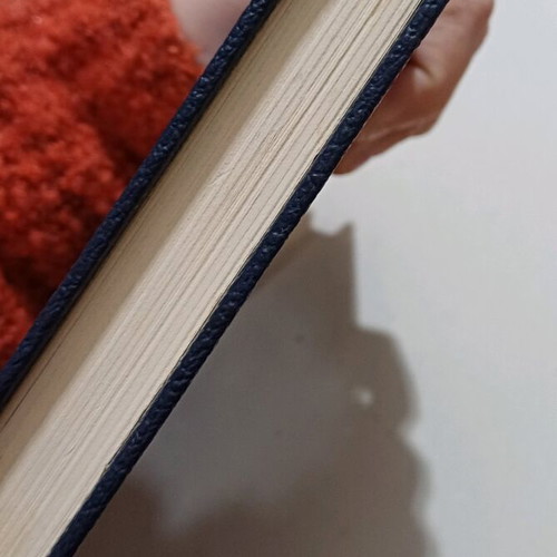 Book O Nevrikos Anthropos used
