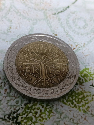 French 2 euro coin 2000 used with multiple errors