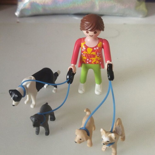 Playmobil 5380 dog walker collectible figure