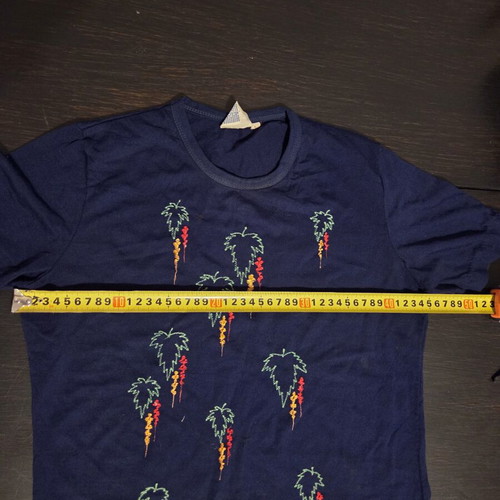 Acme blue t-shirt with embroidered design, like new, size L