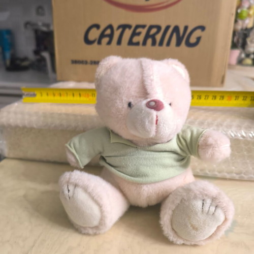 Stuffed bear with clothing like new TDB1012