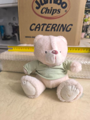 Stuffed bear with clothing like new TDB1012