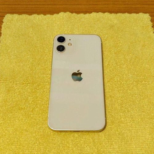 Apple iPhone 12 mini 256GB with 10 cases and battery case