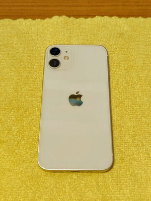 Apple iPhone 12 mini 256GB with 10 cases and battery case