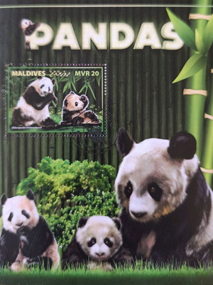 Large Feuillet with Cute Pandas New