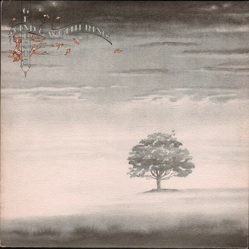 Genesis Wind & Wuthering vinyl record used, rock