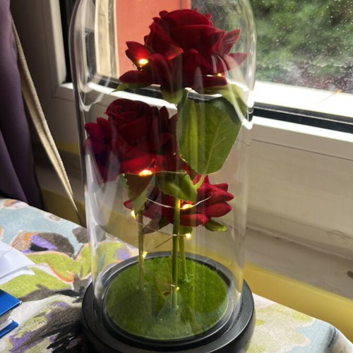 Roses with lights in a jar new, battery powered gift