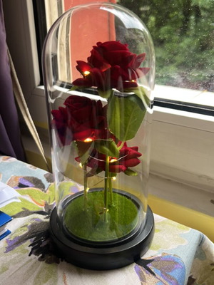 Roses with lights in a jar new, battery powered gift