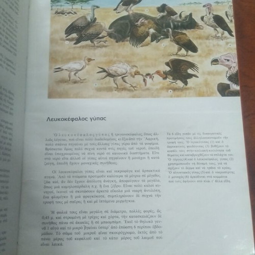 Ta Zoa Tis Zouglas 3 book used