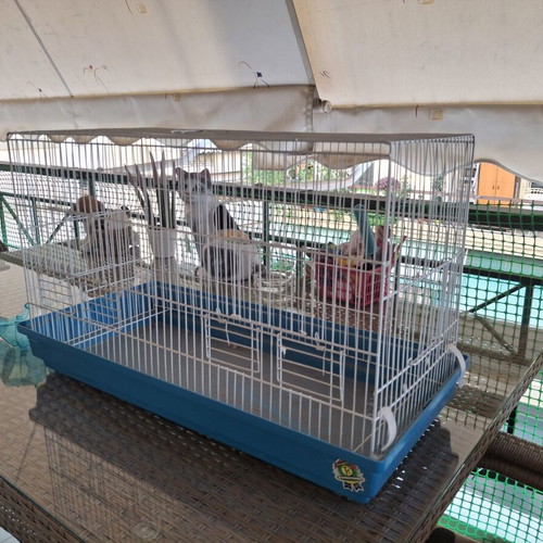 Birdcage for parakeets or small birds