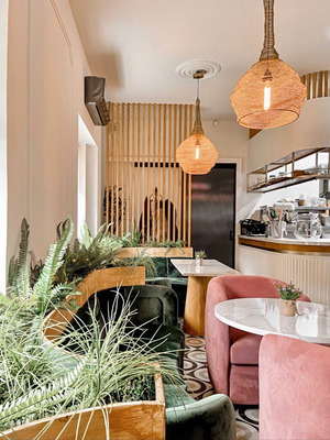 Coffee Equipment like New with Furniture and Outdoor Setup