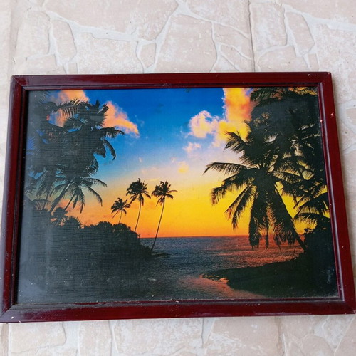 Frame tropical landscape print used 45×33