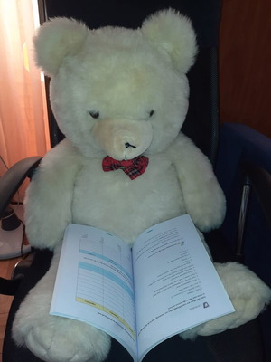 Large teddy bear like new in excellent condition