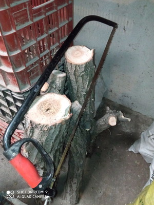 Bow saw used, 82 cm length