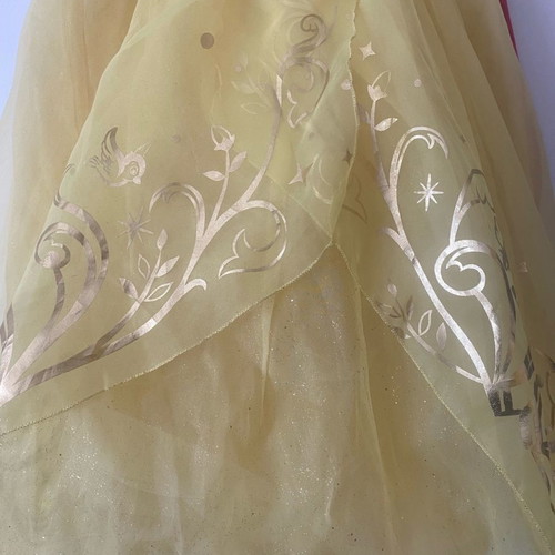 Snow White Costume from Disneyland worn once