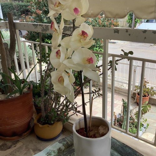 Decorative plastic orchid plant like new