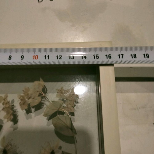Transparent frame with dried flower composition like new