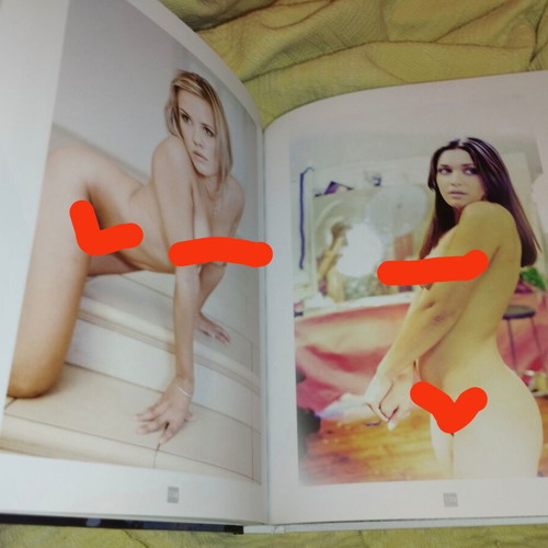 Les 20 meilleurs photographes de nu book like new, French