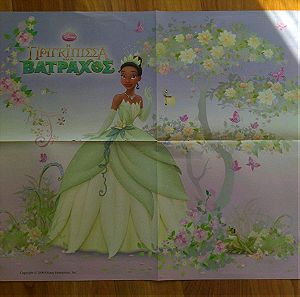 Αφίσα άλμπουμ η πριγκίπισσα και ο βάτραχος Panini