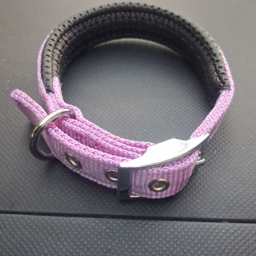 Collar with choker set for large puppy like new