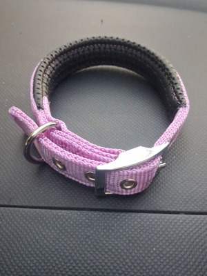 Collar with choker set for large puppy like new