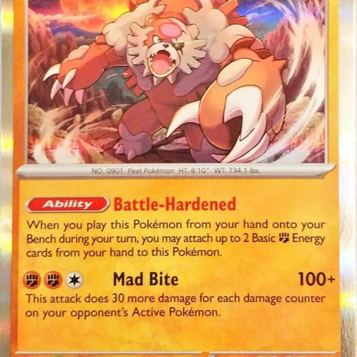 Bloodmoon Ursaluna 025/064 Shrouded Fable Holo collectible card new pokemon
