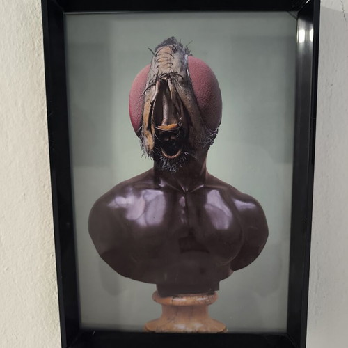 Digital Collage 2020 modern surrealist art framed A4 print like new