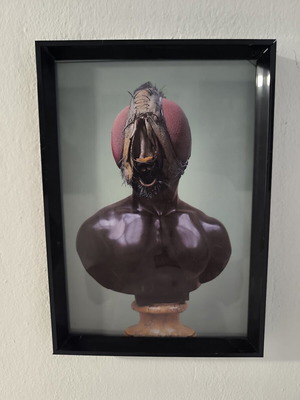 Digital Collage 2020 modern surrealist art framed A4 print like new