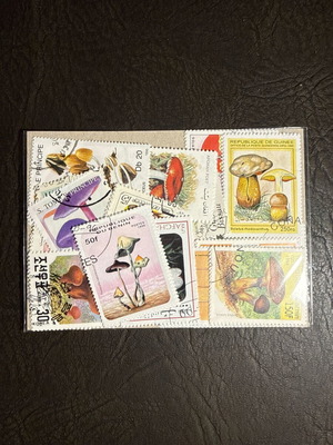 Mushroom Stamp Collection new, 50 different collectible stamps