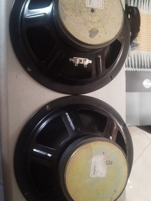 Leem 10" speakers used, pack of 2, 50W 8Ω for guitar amps