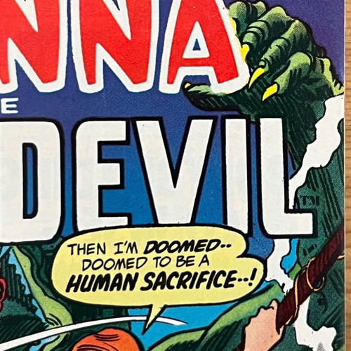 Shanna the She-Devil No.5 used comic Marvel Comics Group