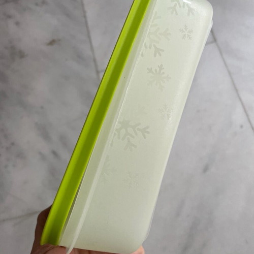 Tupperware 1L container with green lid new