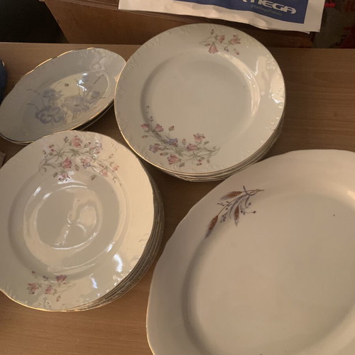 Floral vintage dish set used, includes 10 plates, 1 large platter, 2 small platters