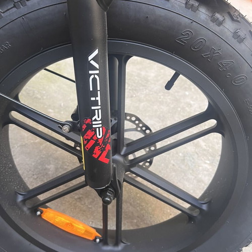 Victrip E Bike 750W Dual Battery Fat Tire Cargo New
