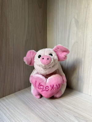 Small pink plush pig toy